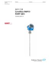 Endres+Hauser Levelflex FMP53 HART 取扱説明書