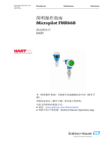Endres+Hauser Micropilot FMR66B Short Instruction