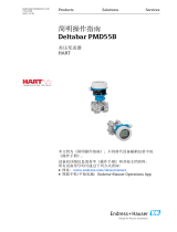 Endres+Hauser Deltabar PMD55B Short Instruction