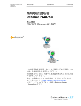 Endres+Hauser Deltabar PMD75B Short Instruction