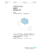 Endres+Hauser Flowmeter Proline 10 Short Instruction