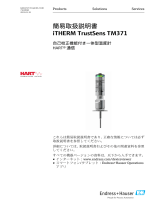 Endres+Hauser iTHERM TrustSens TM371 Short Instruction