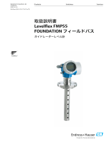 Endres+Hauser Levelflex FMP55 FOUNDATION Fieldbus 取扱説明書