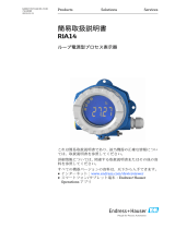 Endres+Hauser KA RIA14 Short Instruction