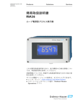 Endres+Hauser KA RIA16 Short Instruction