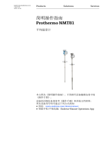 Endres+Hauser Prothermo NMT81 Short Instruction