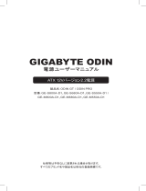 Gigabyte ODIN Pro 800W 取扱説明書