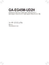 Gigabyte GA-EG45M-UD2H 取扱説明書