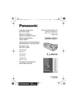 Panasonic DMWBG1E 取扱説明書