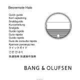 Bang Olufsen 01 ユーザーガイド