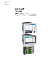 Endres+Hauser ORSG45 取扱説明書