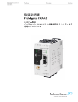 Endres+Hauser BA Fieldgate FXA42 取扱説明書